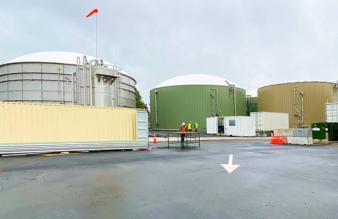 Новая Зеландия | Проект биогазовой установки Ecogas